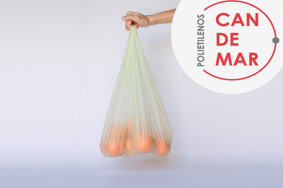 Bolsa